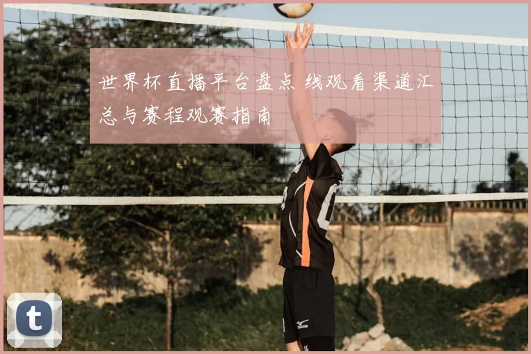 世界杯直播平台盘点 线观看渠道汇总与赛程观赛指南