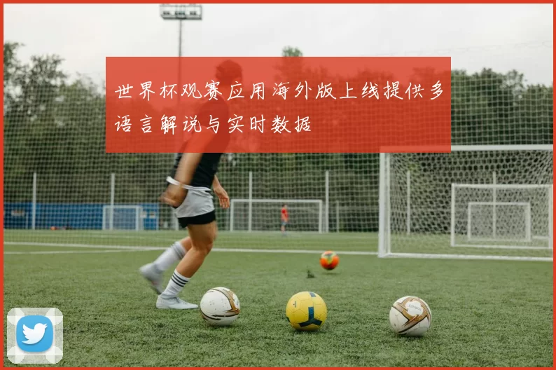 世界杯观赛应用海外版上线提供多语言解说与实时数据
