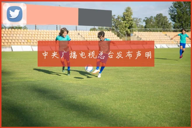 中央广播电视总台发布声明