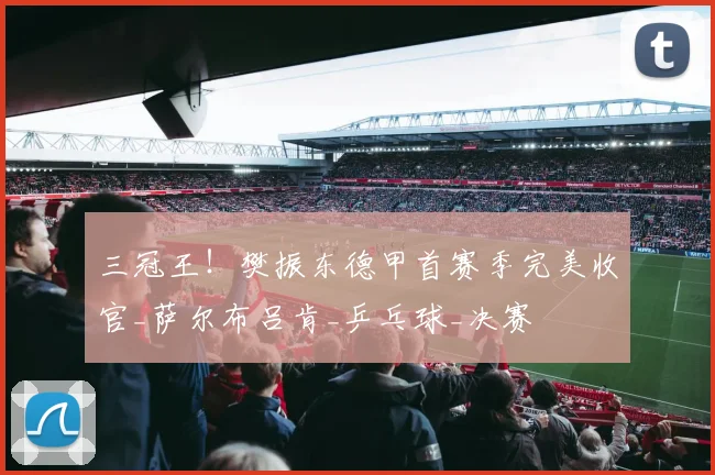 三冠王！樊振东德甲首赛季完美收官_萨尔布吕肯_乒乓球_决赛