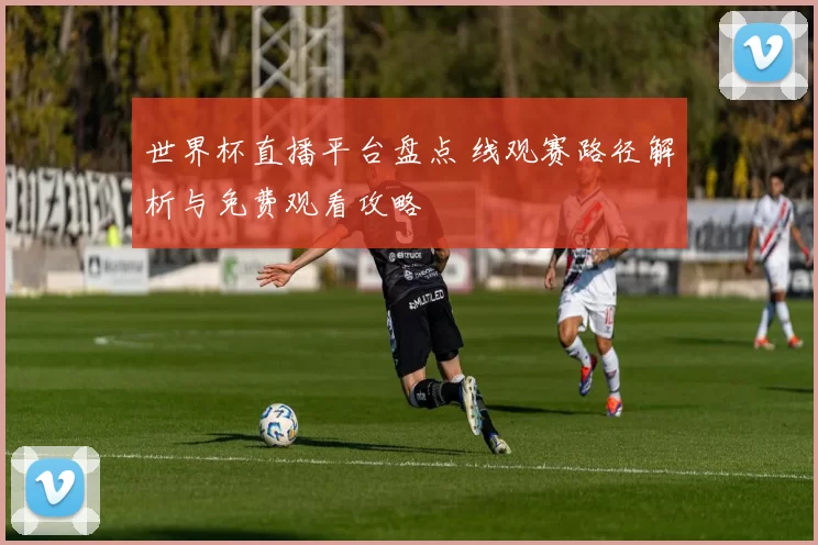 世界杯直播平台盘点 线观赛路径解析与免费观看攻略