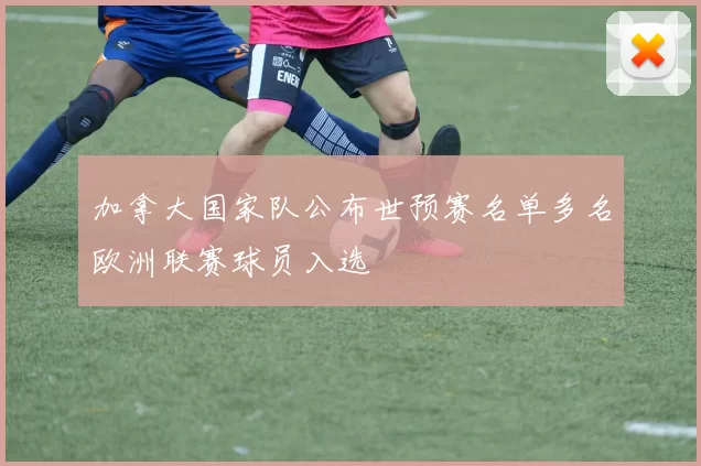 加拿大国家队公布世预赛名单多名欧洲联赛球员入选