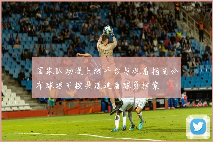 国家队动漫上线平台与观看指南公布球迷可按渠道追看球员档案
