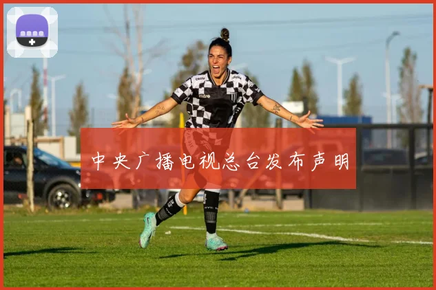 中央广播电视总台发布声明