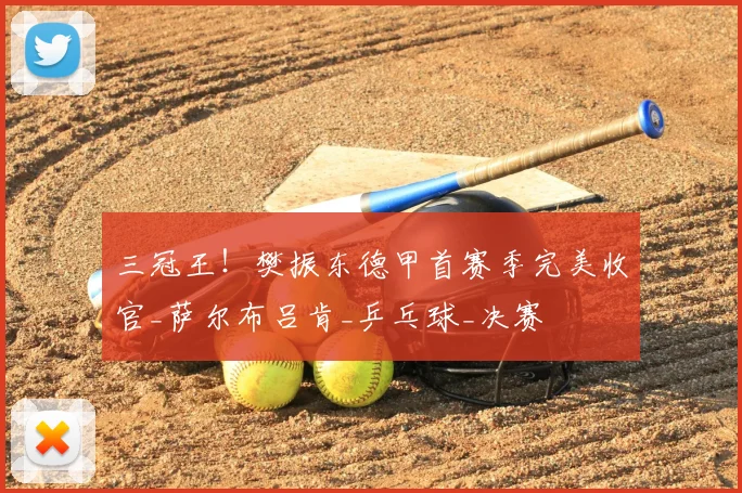 三冠王！樊振东德甲首赛季完美收官_萨尔布吕肯_乒乓球_决赛